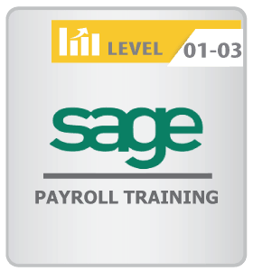 Sage Payroll Training – Fast Track (Level 1-3)